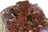 Thunder Bay Amethyst Cluster with Hematite - Canada #283433-1